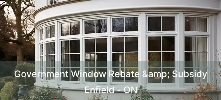  Government Window Rebate & Subsidy Enfield - ON