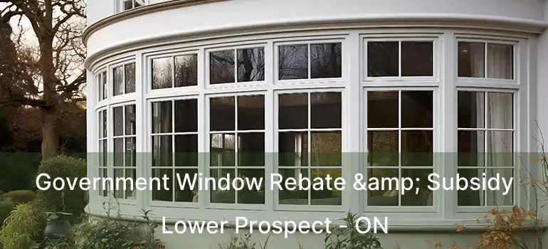  Government Window Rebate & Subsidy Lower Prospect - ON