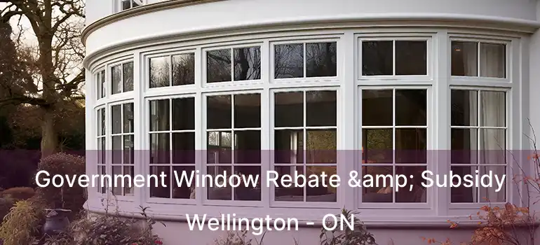  Government Window Rebate & Subsidy Wellington - ON