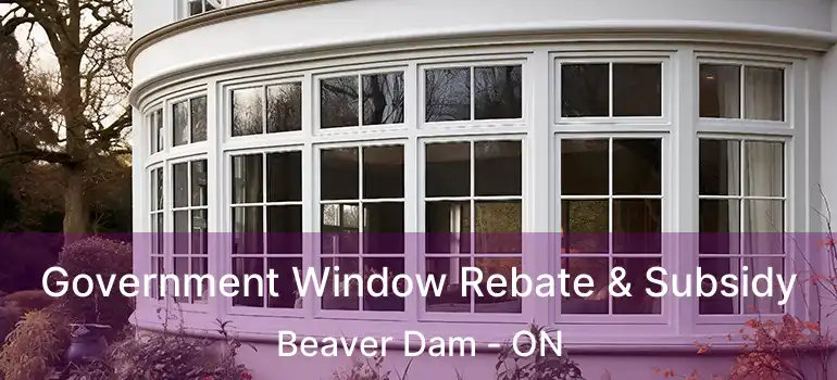  Government Window Rebate & Subsidy Beaver Dam - ON