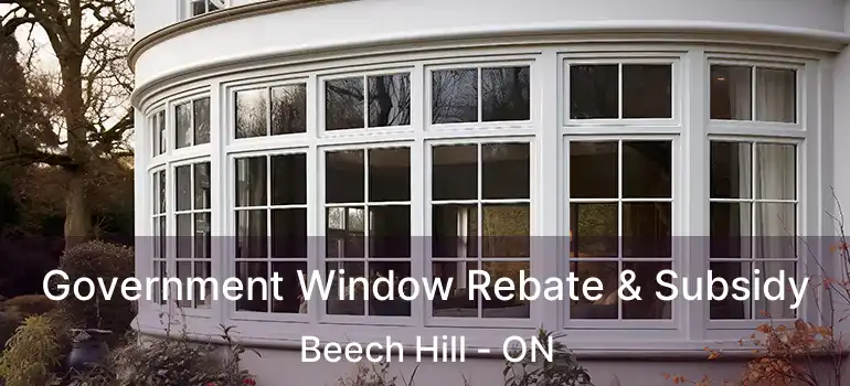  Government Window Rebate & Subsidy Beech Hill - ON