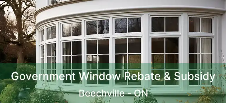  Government Window Rebate & Subsidy Beechville - ON