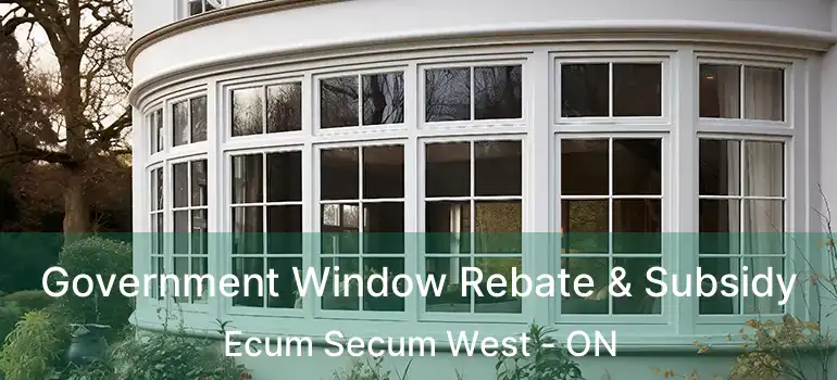  Government Window Rebate & Subsidy Ecum Secum West - ON