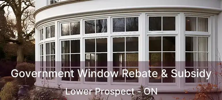  Government Window Rebate & Subsidy Lower Prospect - ON
