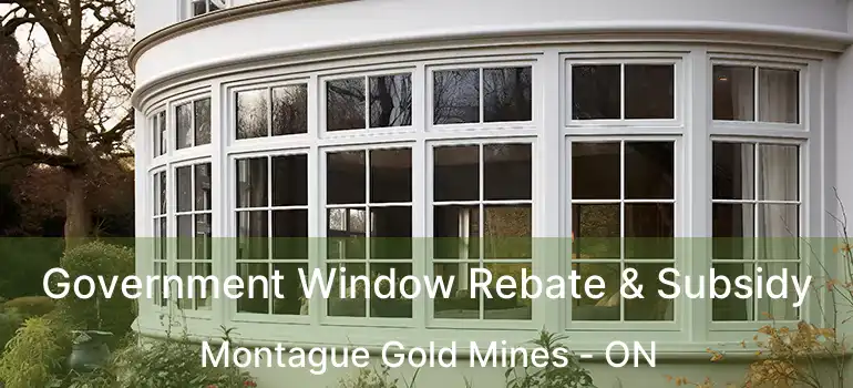  Government Window Rebate & Subsidy Montague Gold Mines - ON