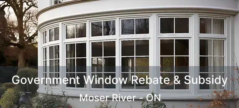  Government Window Rebate & Subsidy Moser River - ON