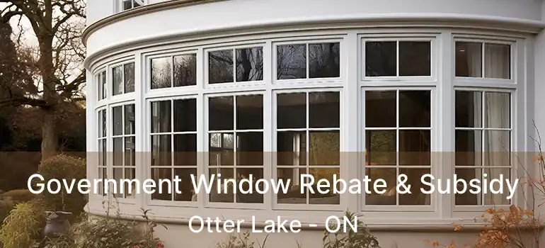  Government Window Rebate & Subsidy Otter Lake - ON
