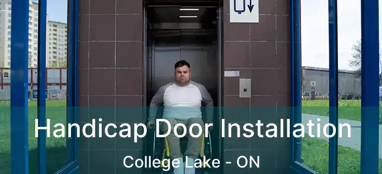  Handicap Door Installation College Lake - ON