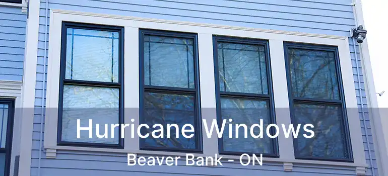  Hurricane Windows Beaver Bank - ON