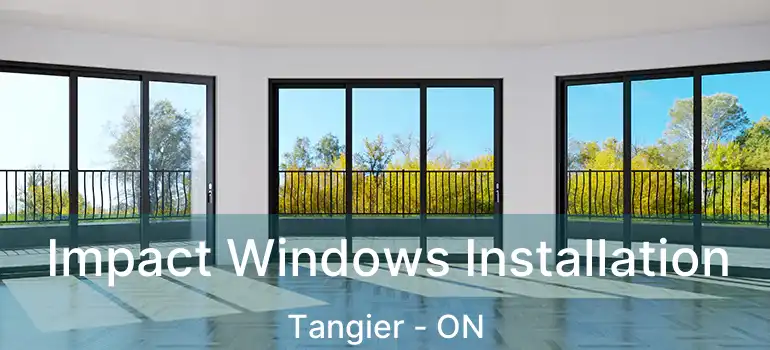 Impact Windows Installation Tangier - ON