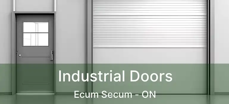  Industrial Doors Ecum Secum - ON