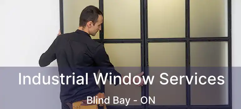  Industrial Window Services Blind Bay - ON