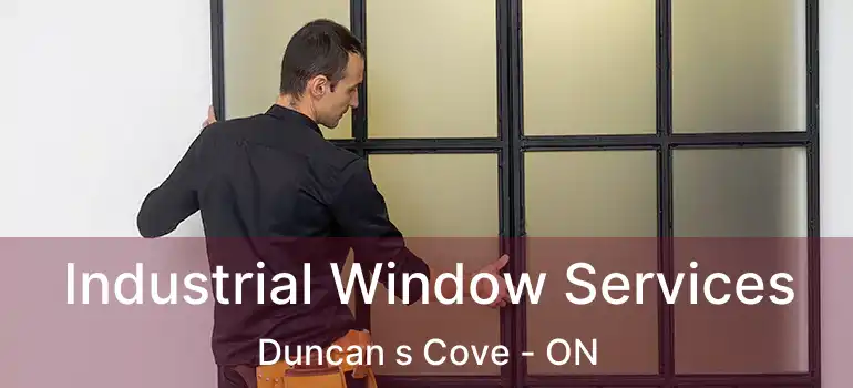  Industrial Window Services Duncan s Cove - ON