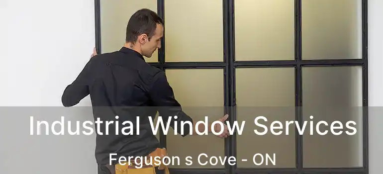  Industrial Window Services Ferguson s Cove - ON
