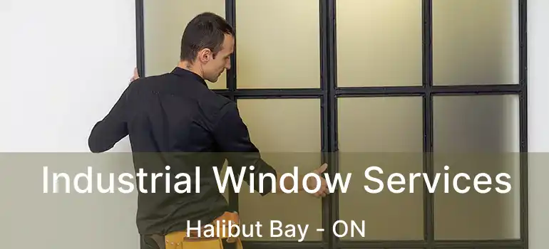  Industrial Window Services Halibut Bay - ON