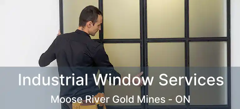  Industrial Window Services Moose River Gold Mines - ON