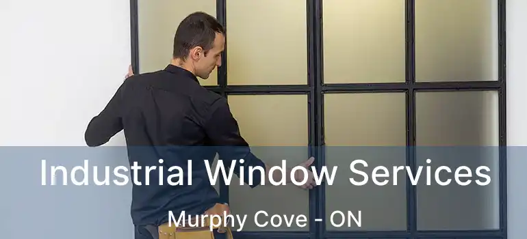  Industrial Window Services Murphy Cove - ON