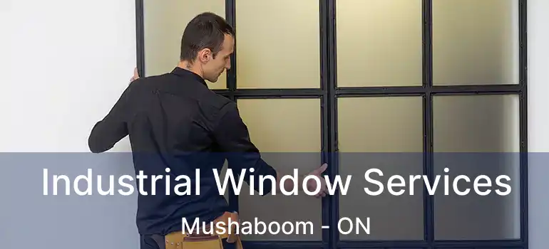  Industrial Window Services Mushaboom - ON