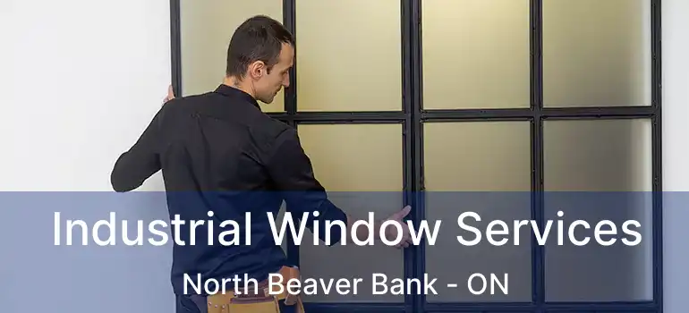  Industrial Window Services North Beaver Bank - ON