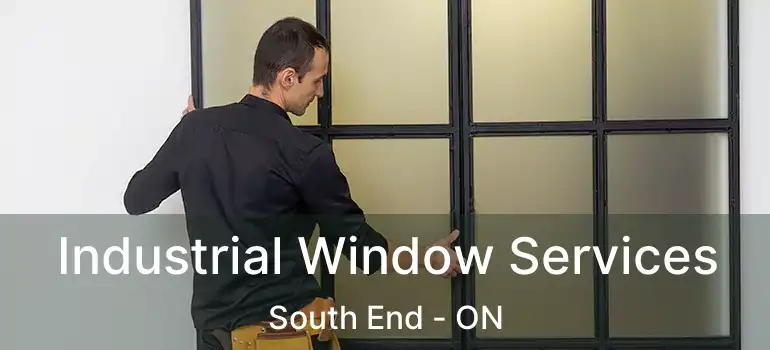  Industrial Window Services South End - ON