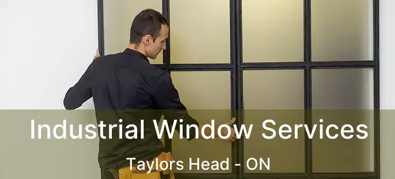  Industrial Window Services Taylors Head - ON