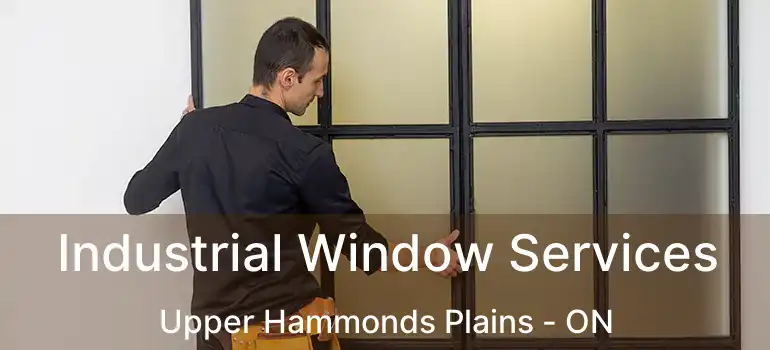  Industrial Window Services Upper Hammonds Plains - ON