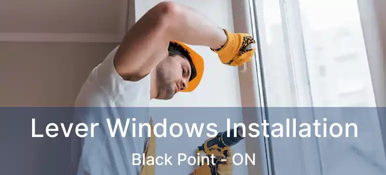  Lever Windows Installation Black Point - ON
