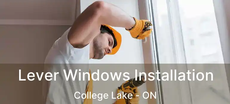  Lever Windows Installation College Lake - ON