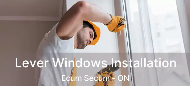  Lever Windows Installation Ecum Secum - ON
