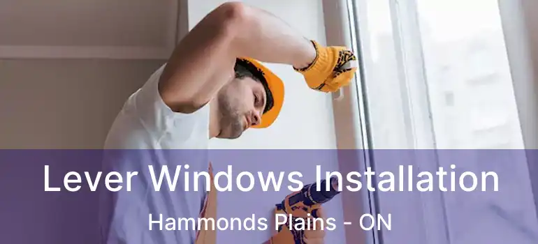  Lever Windows Installation Hammonds Plains - ON