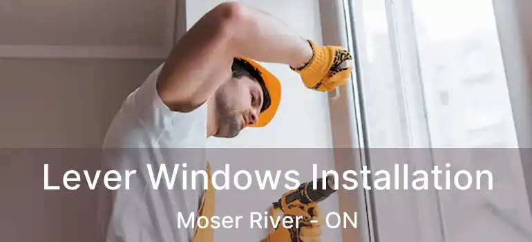  Lever Windows Installation Moser River - ON
