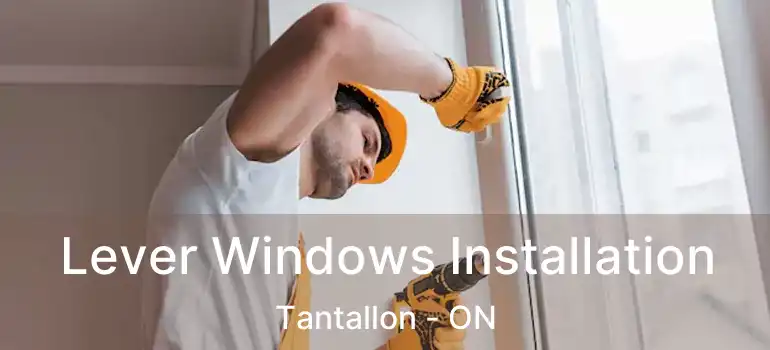  Lever Windows Installation Tantallon - ON