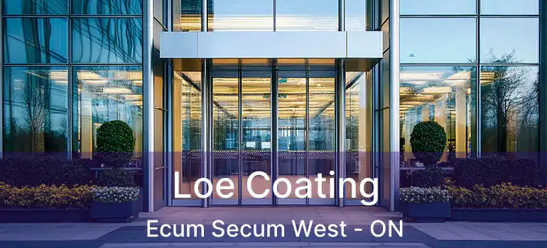  Loe Coating Ecum Secum West - ON