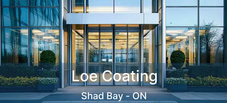  Loe Coating Shad Bay - ON