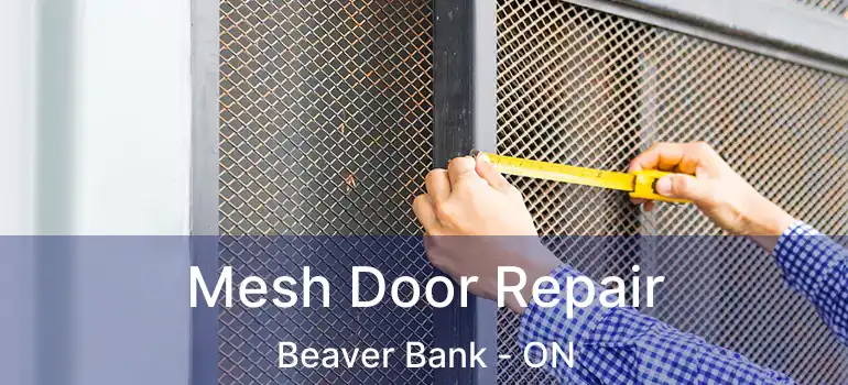  Mesh Door Repair Beaver Bank - ON