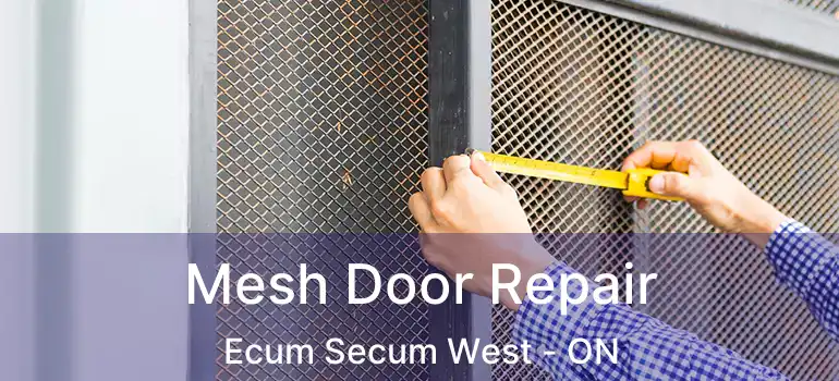  Mesh Door Repair Ecum Secum West - ON
