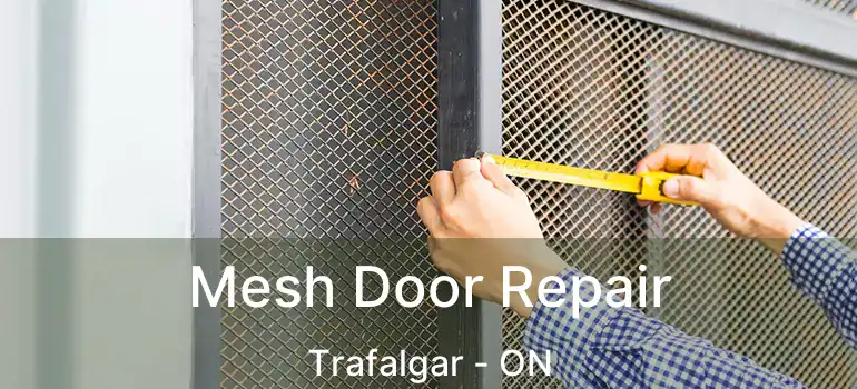  Mesh Door Repair Trafalgar - ON