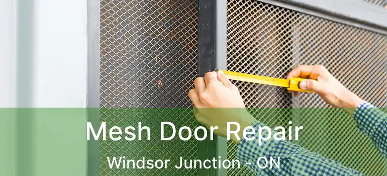  Mesh Door Repair Windsor Junction - ON