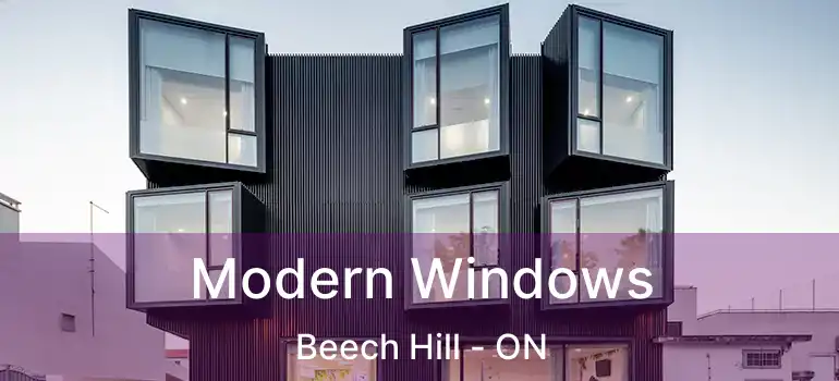  Modern Windows Beech Hill - ON
