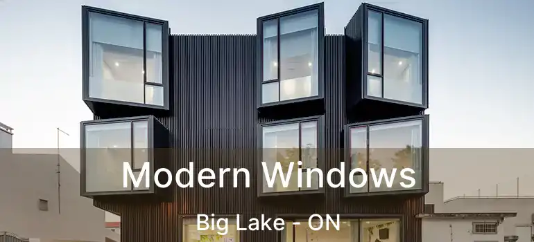  Modern Windows Big Lake - ON