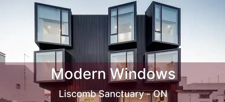  Modern Windows Liscomb Sanctuary - ON