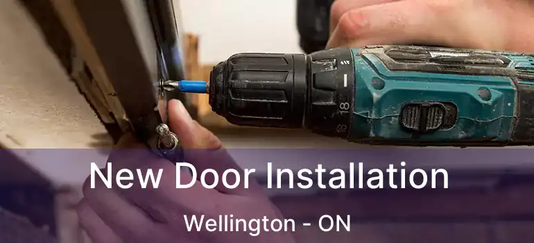  New Door Installation Wellington - ON