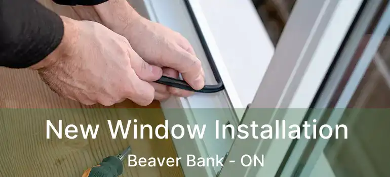 New Window Installation Beaver Bank - ON