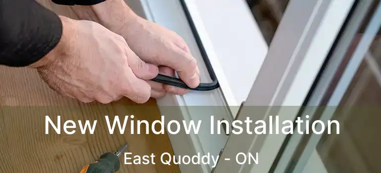  New Window Installation East Quoddy - ON