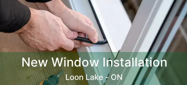  New Window Installation Loon Lake - ON