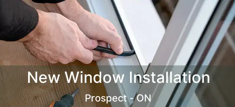  New Window Installation Prospect - ON