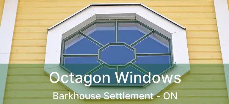 Octagon Windows Barkhouse Settlement - ON