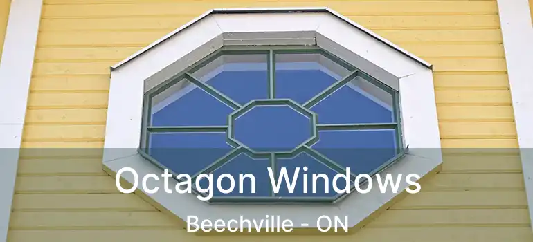  Octagon Windows Beechville - ON
