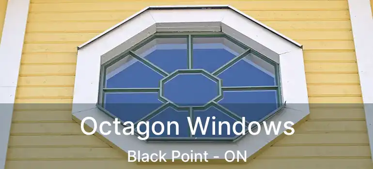 Octagon Windows Black Point - ON