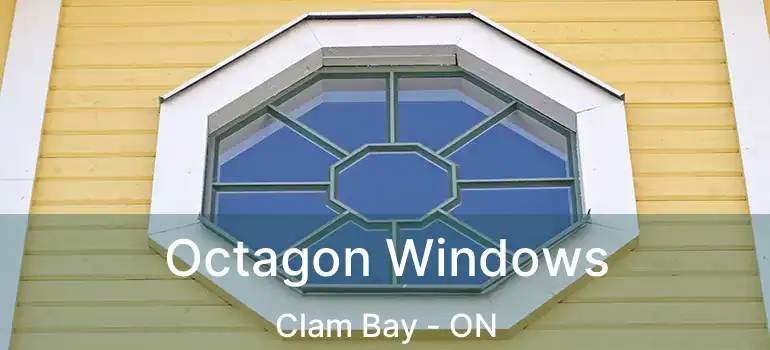 Octagon Windows Clam Bay - ON